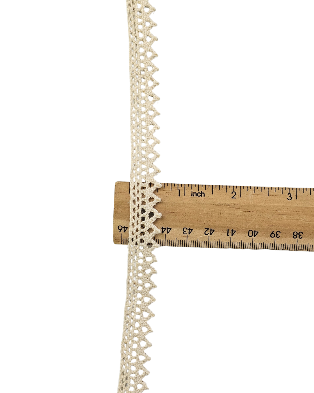 ⅜" Natural Sawtooth Lace Ivory