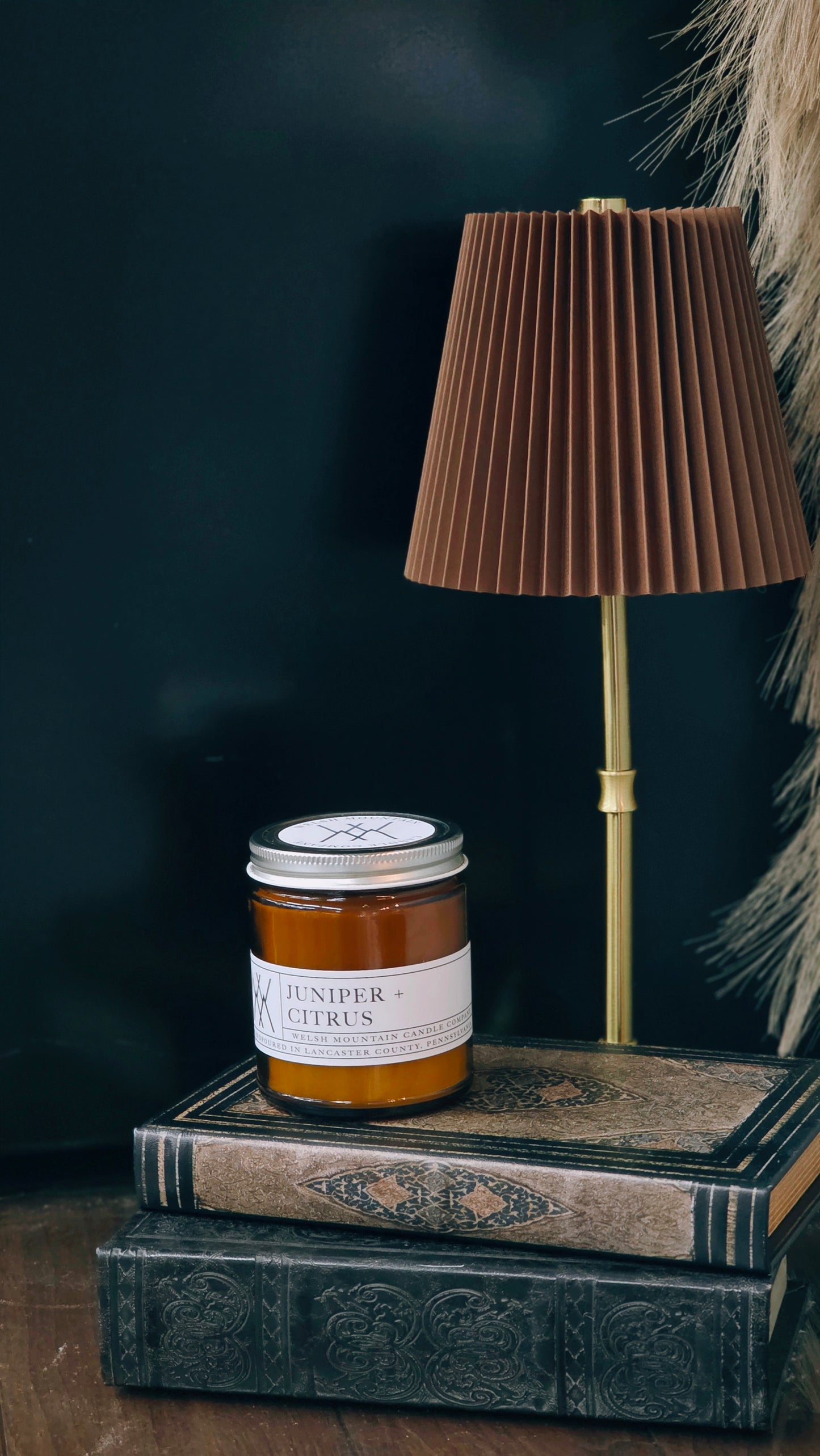 Juniper + Citrus Coconut Wax Candle 9 oz.
