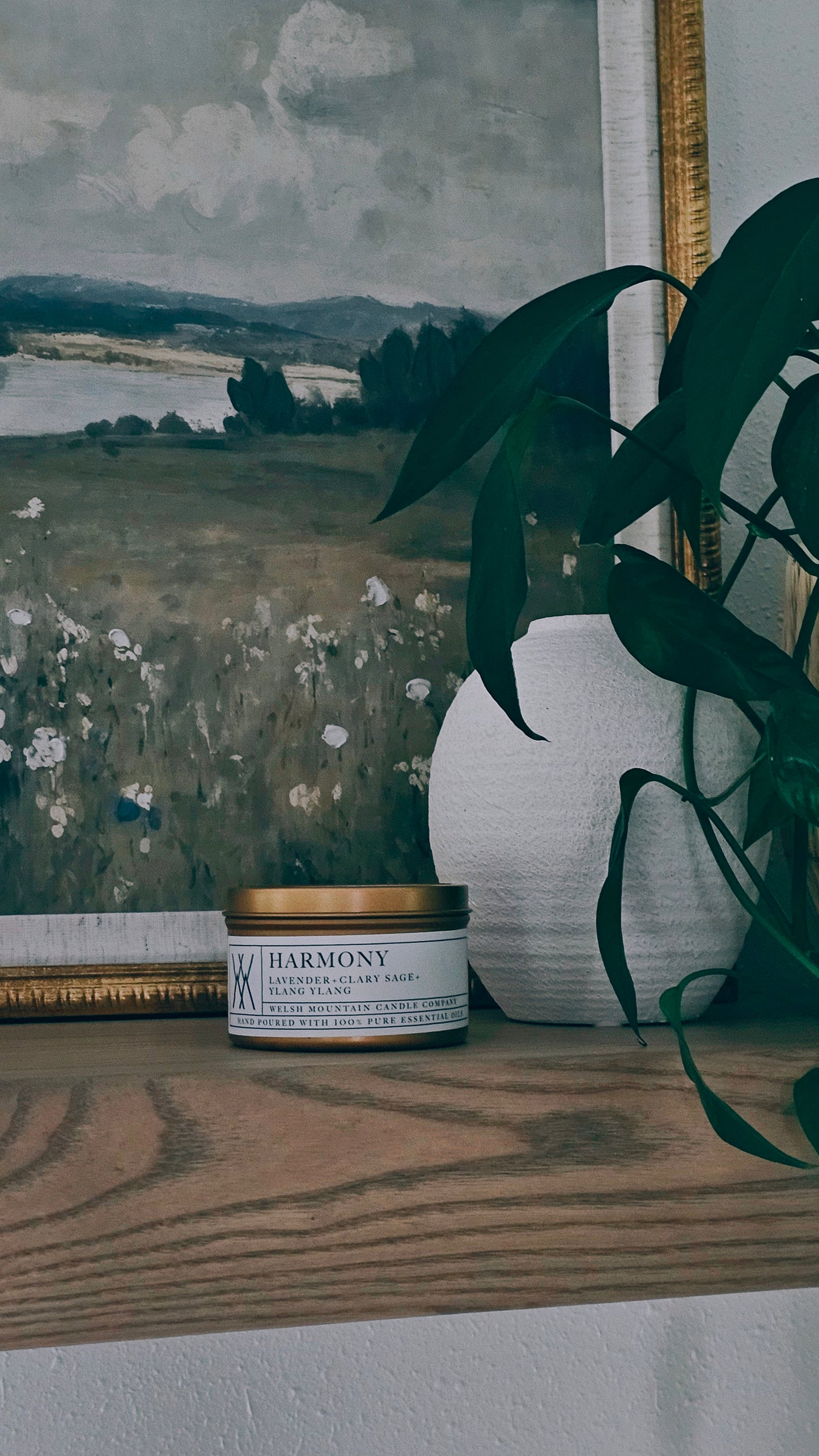 Harmony Coconut Wax Candle Gold tin 8 Oz