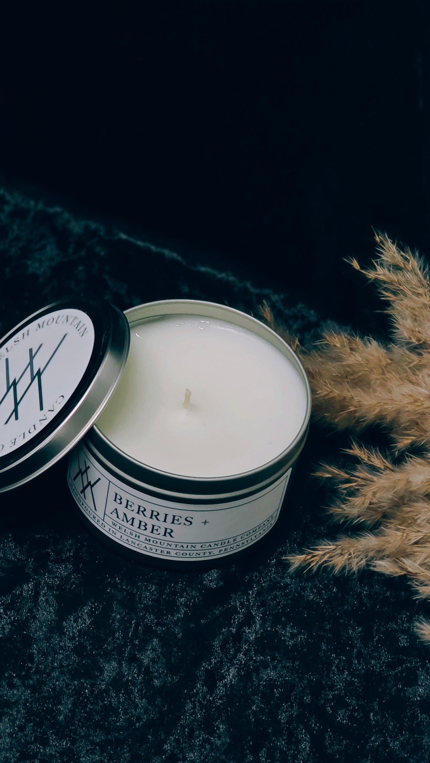 Berries + Amber Coconut Wax Tin Candle 16 oz.